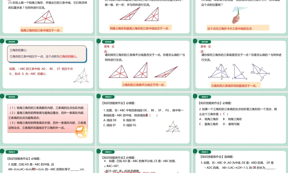 北师大（2025）数学七年级下-4.1.3三角形的高、中线、角平分线.pptx