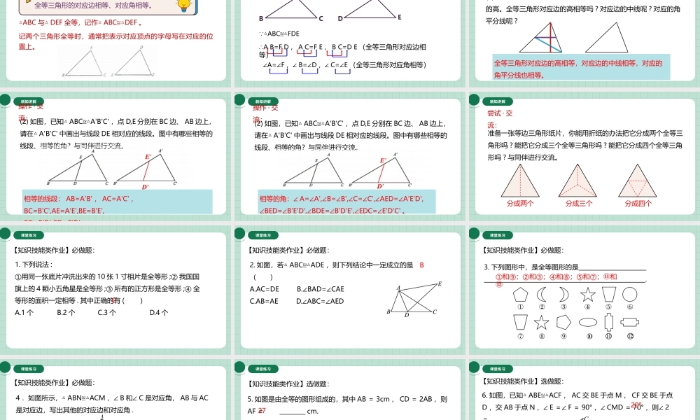 北师大（2025）数学七年级下-4.2全等三角形.pptx