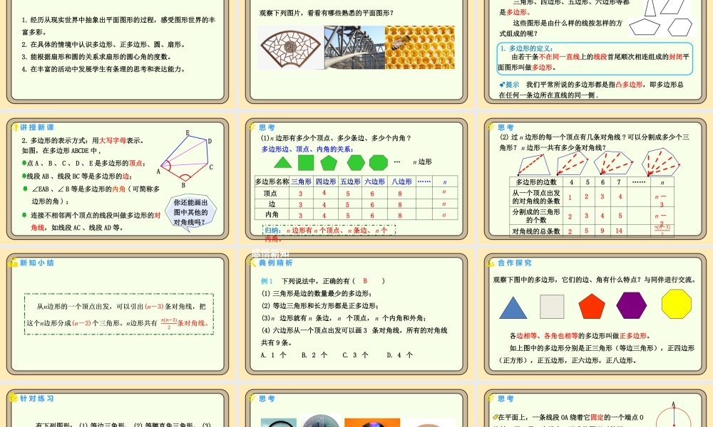 北师大版（2024）数学七年级上册4.3 多边形和圆的初步认识  课件(共19张PPT).pptx