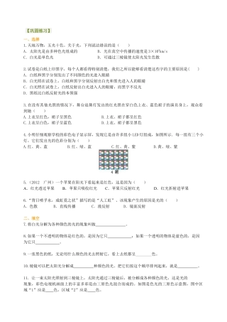 光的色散 巩固练习（基础）-沪科版初中物理.docx