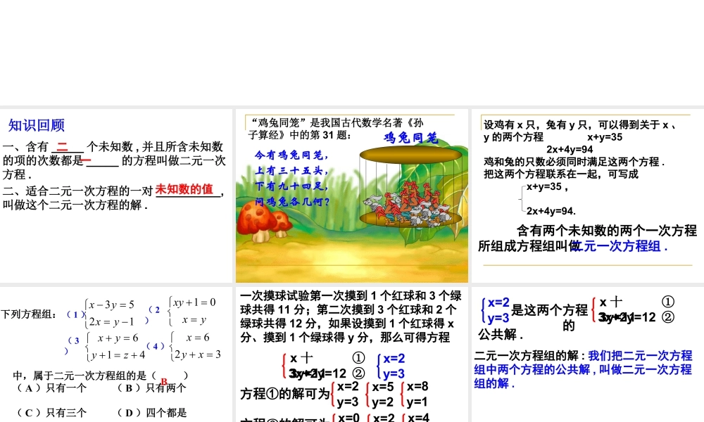 《二元一次方程组》参考课件-苏科版数学七年级下册.ppt