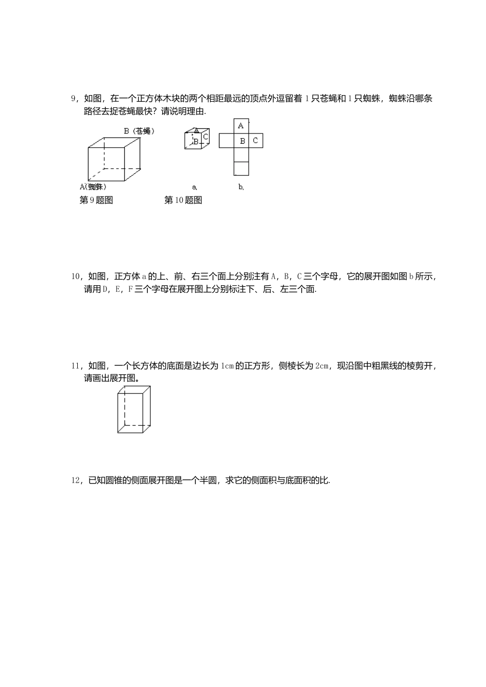 北师大版七年级数学上册第1章《丰富图形世界》同步练习及答案—1.2展开与折叠3.doc_第2页