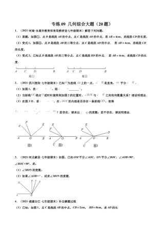 专练09 几何综合大题（20题）-七年级数学上学期期末考点必杀200题（北师大版）（原卷版）.docx