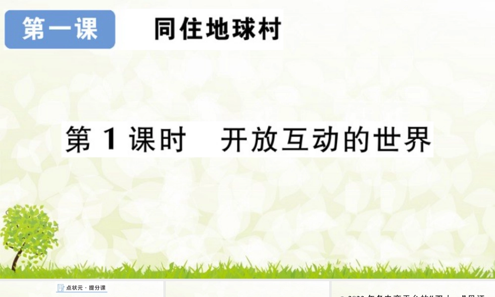 【习题课件】道德与法治九年级下-第1课时 开放互动的世界.pptx