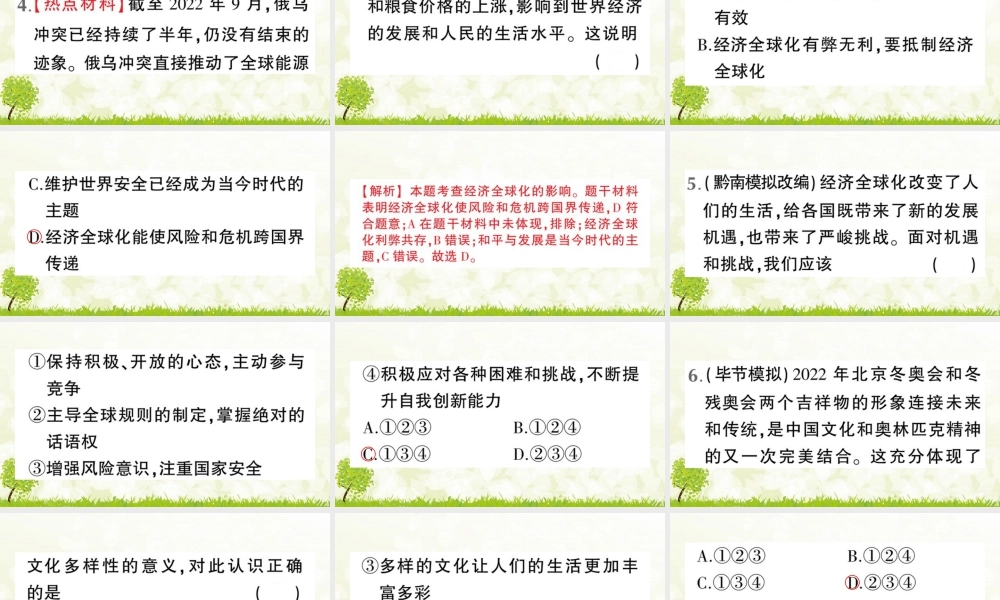 【习题课件】道德与法治九年级下-第1课时 开放互动的世界.pptx