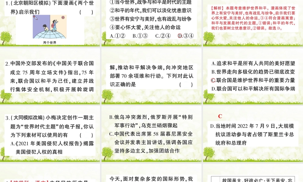 【习题课件】道德与法治九年级下-第1课时 推动和平与发展.pptx