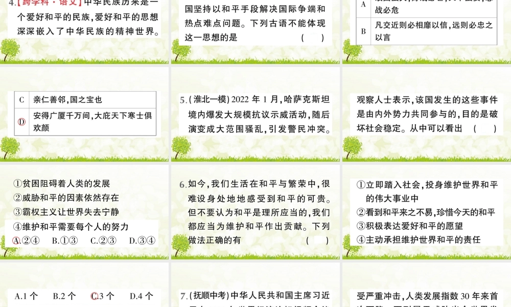 【习题课件】道德与法治九年级下-第1课时 推动和平与发展.pptx