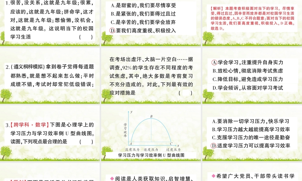 【习题课件】道德与法治九年级下-第1课时 学无止境.pptx