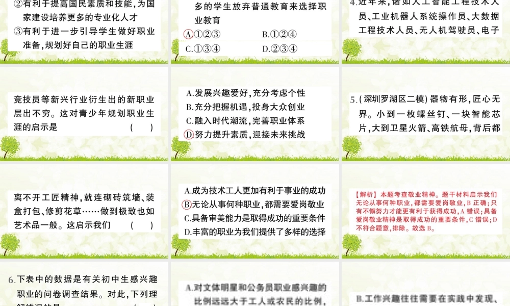 【习题课件】道德与法治九年级下-第2课时 多彩的职业.pptx