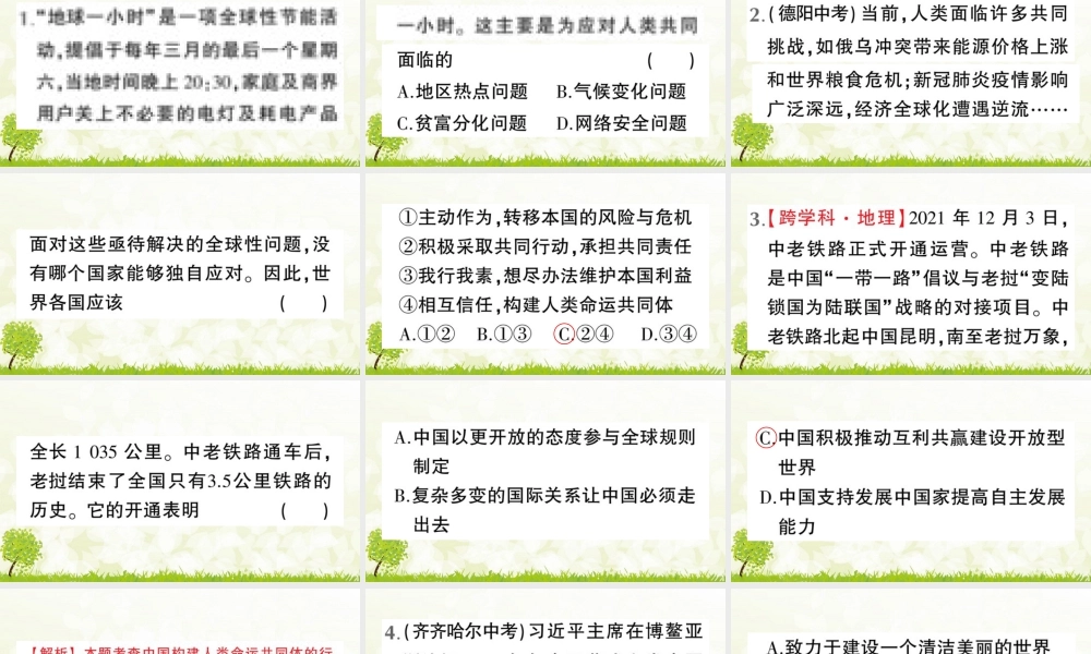 【习题课件】道德与法治九年级下-第2课时 谋求互利共赢.pptx