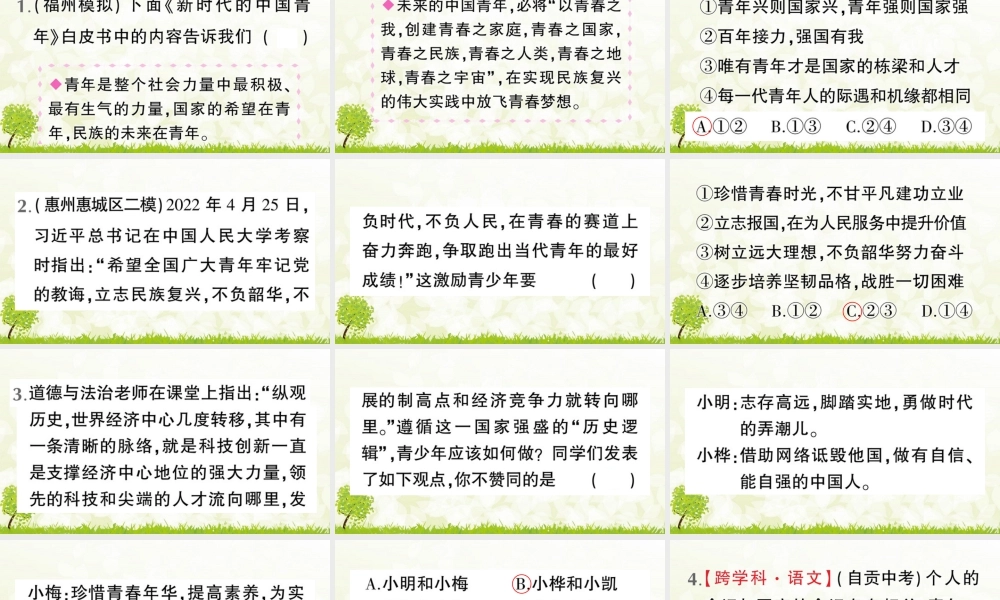 【习题课件】道德与法治九年级下-第2课时 少年当自强.pptx