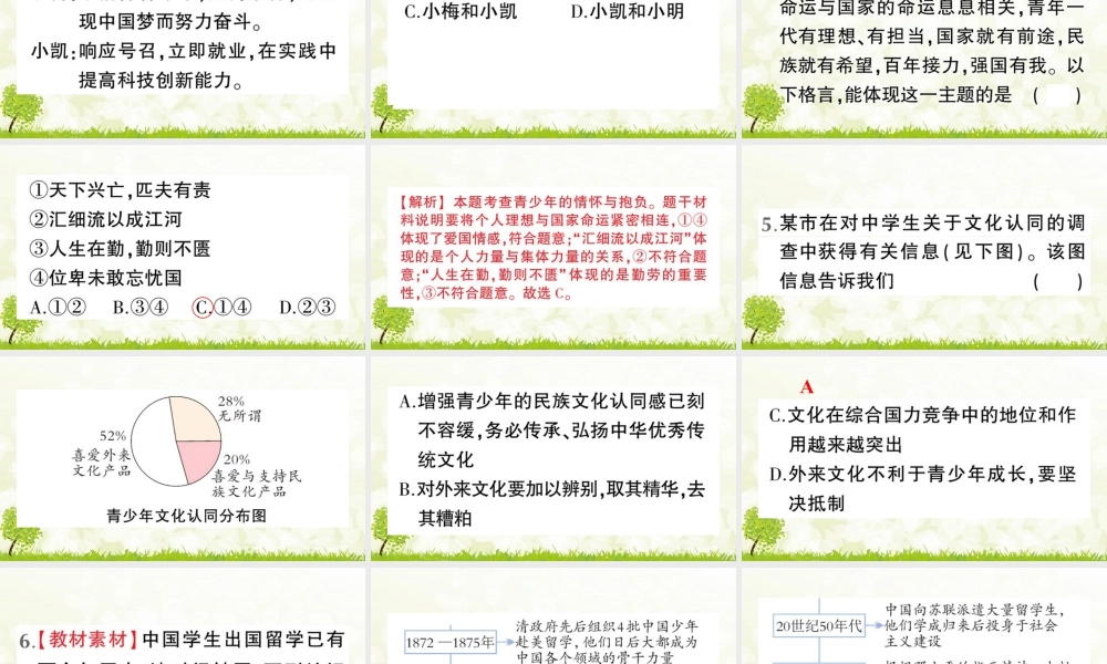 【习题课件】道德与法治九年级下-第2课时 少年当自强.pptx