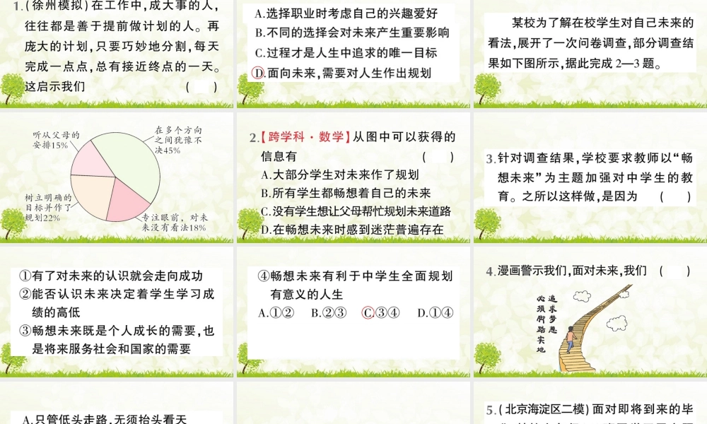 【习题课件】道德与法治九年级下-第2课时 走向未来.pptx