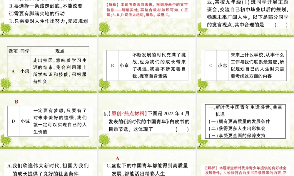 【习题课件】道德与法治九年级下-第2课时 走向未来.pptx