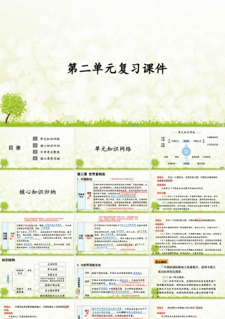 【习题课件】道德与法治九年级下-第二单元复习课件.pptx