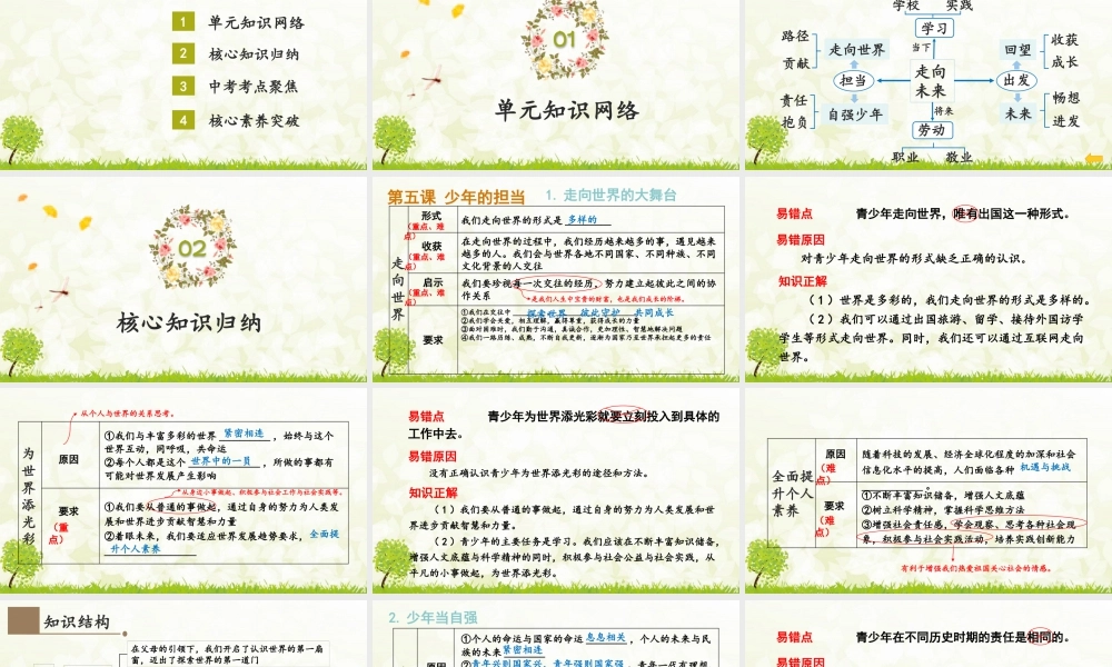 【习题课件】道德与法治九年级下-第三单元复习课件.pptx