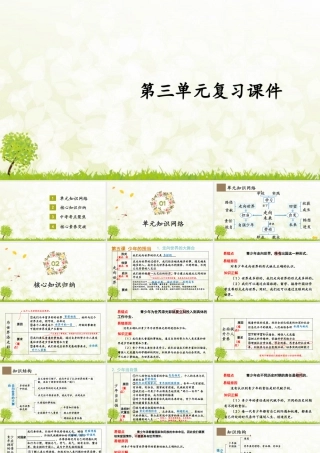 【习题课件】道德与法治九年级下-第三单元复习课件.pptx