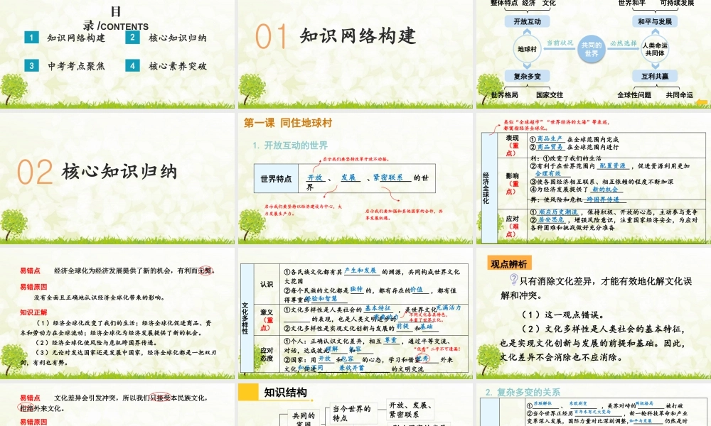 【习题课件】道德与法治九年级下-第一单元复习课件.pptx