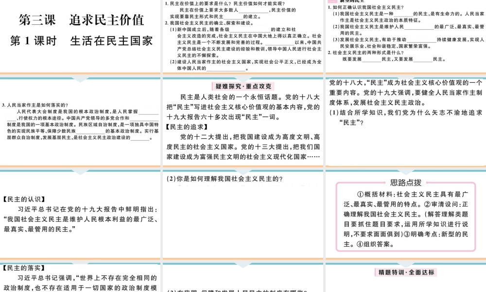 【习题课件】九年级上册道德与法治-第1课时 生活在民主国家.ppt