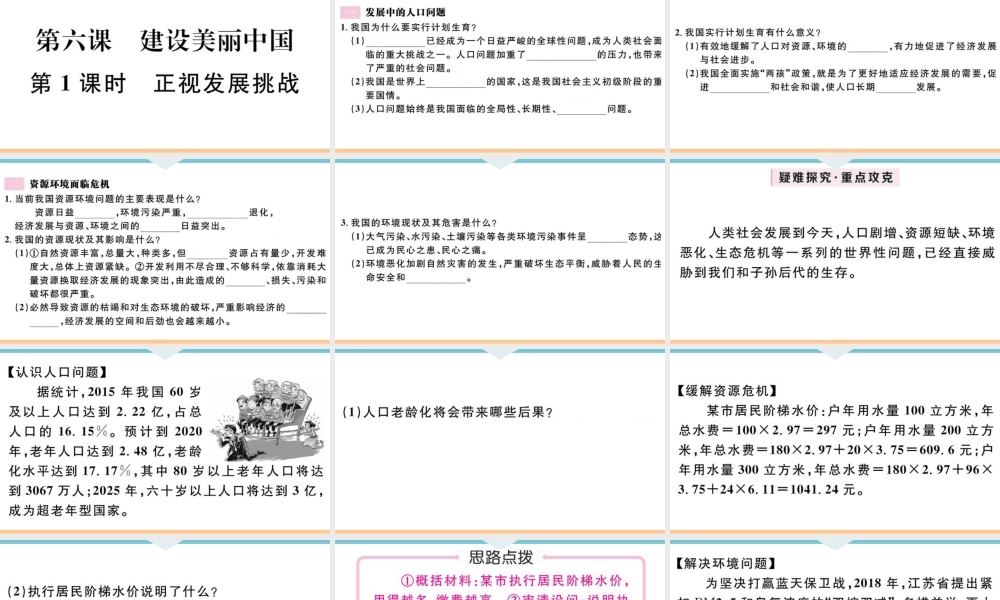 【习题课件】九年级上册道德与法治-第1课时 正视发展挑战.ppt