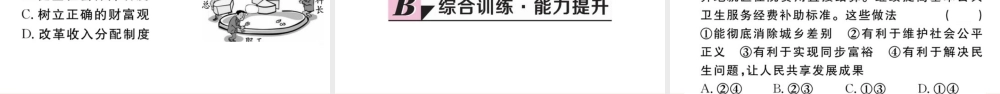 【习题课件】九年级上册道德与法治-第2课时 走向共同富裕.ppt