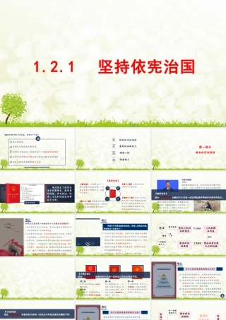 八年级下册道德与法治课件-1.2.1 坚持依宪治国.pptx