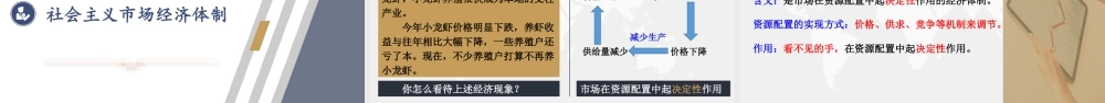 八年级下册道德与法治课件-3.5.3 基本经济制度.pptx