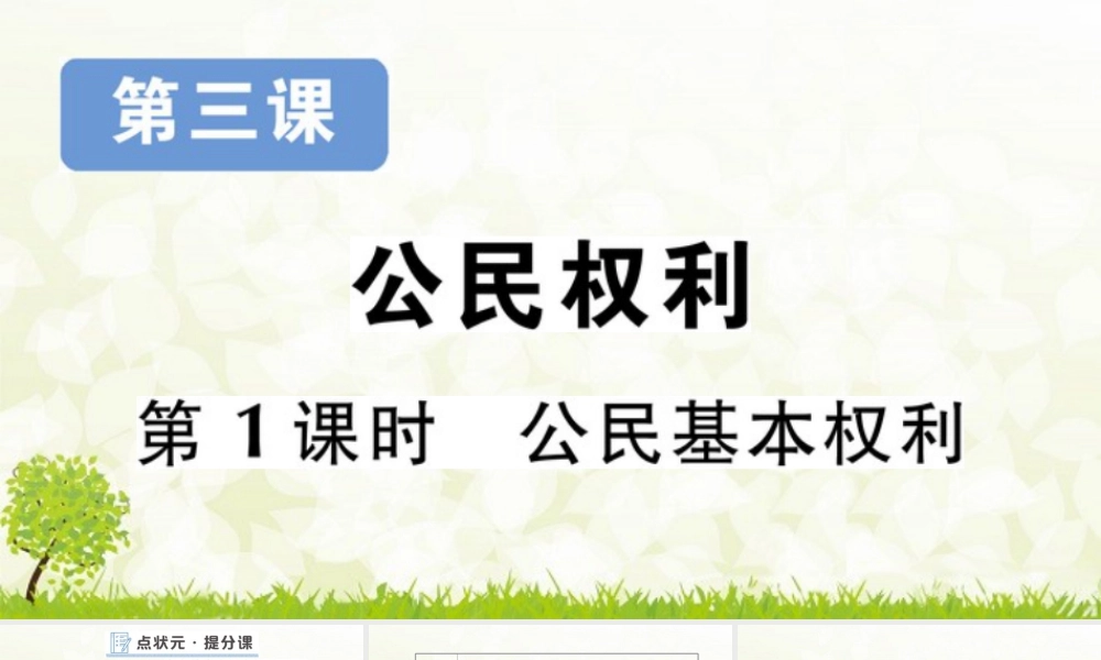 八年级下册道德与法治课件-第1课时 公民基本权利.pptx