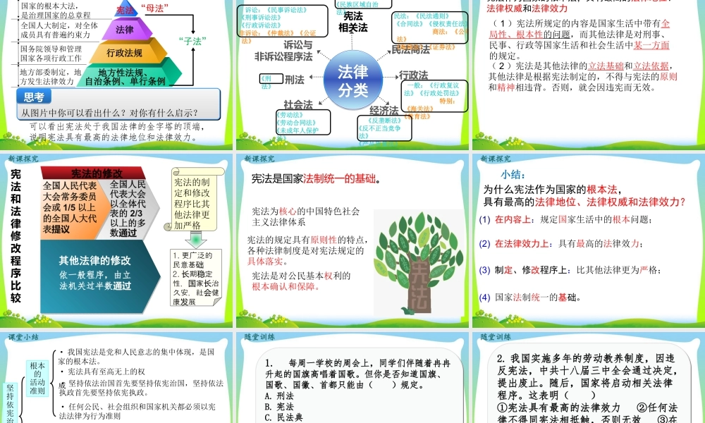 八年级下册道德与法治课件-第1课时 坚持依宪治国.pptx