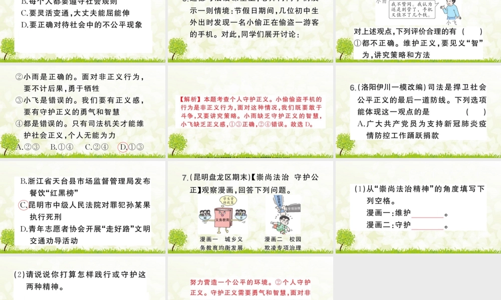 八年级下册道德与法治课件-第2课时 公平正义的守护.pptx