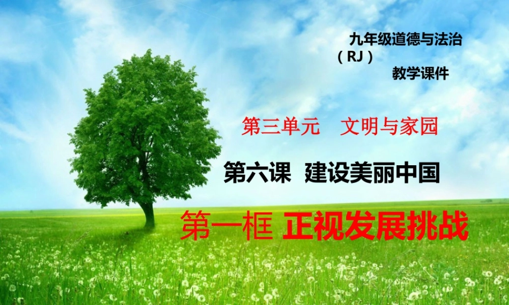 初中道德与法治九年级上册课件-6.1正视发展挑战.pptx