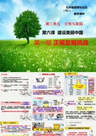 初中道德与法治九年级上册课件-6.1正视发展挑战.pptx