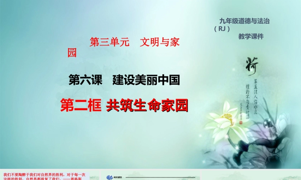 初中道德与法治九年级上册课件-6.2 共筑生命家园.ppt