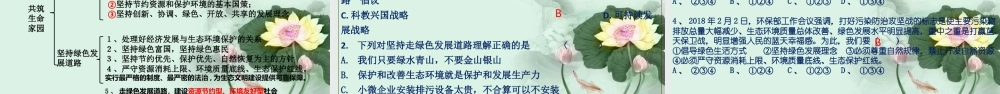 初中道德与法治九年级上册课件-6.2 共筑生命家园.ppt
