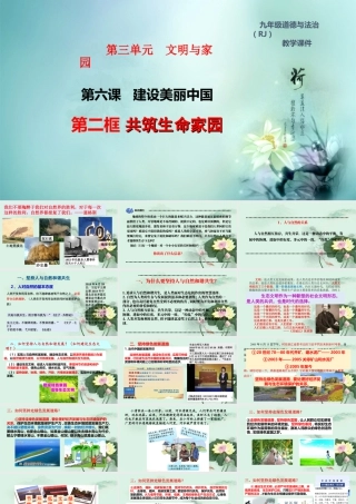 初中道德与法治九年级上册课件-6.2 共筑生命家园.ppt