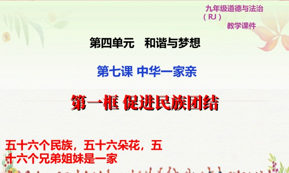 初中道德与法治九年级上册课件-7.1 促进民族团结.ppt