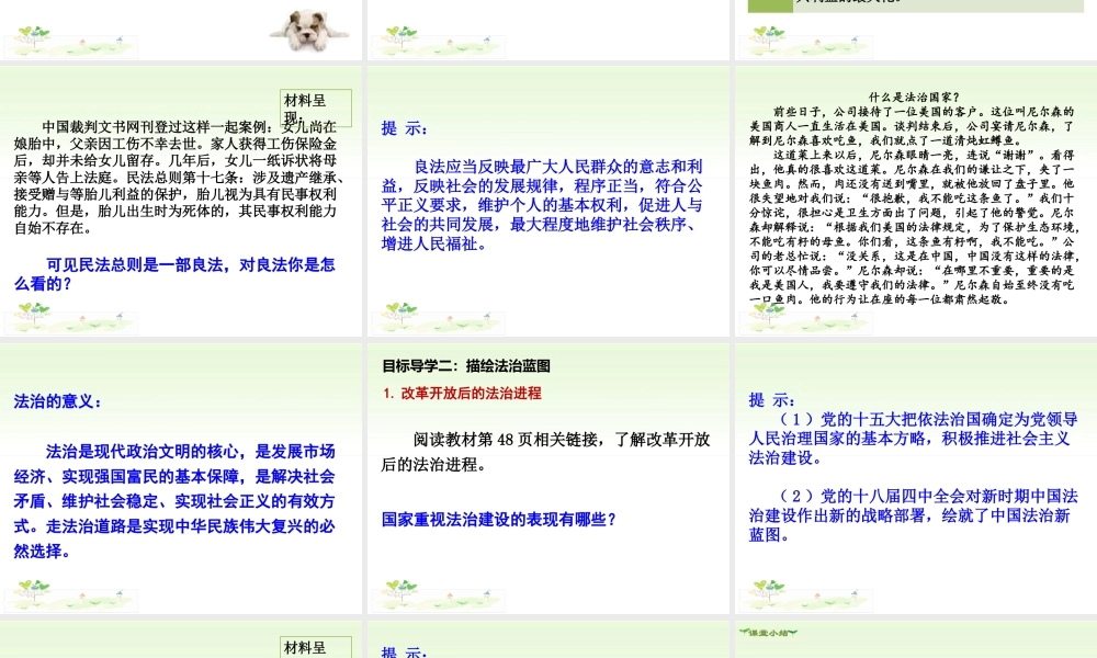 初中道德与法治九年级上册课件-第1课时 夯实法治基石.ppt