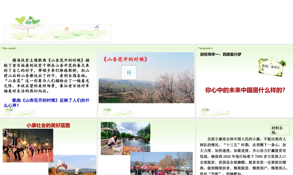 初中道德与法治九年级上册课件-第1课时 我们的梦想.ppt