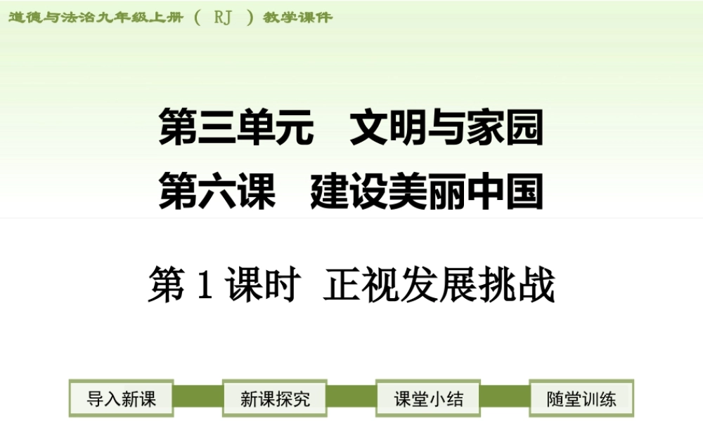 初中道德与法治九年级上册课件-第1课时 正视发展挑战.ppt