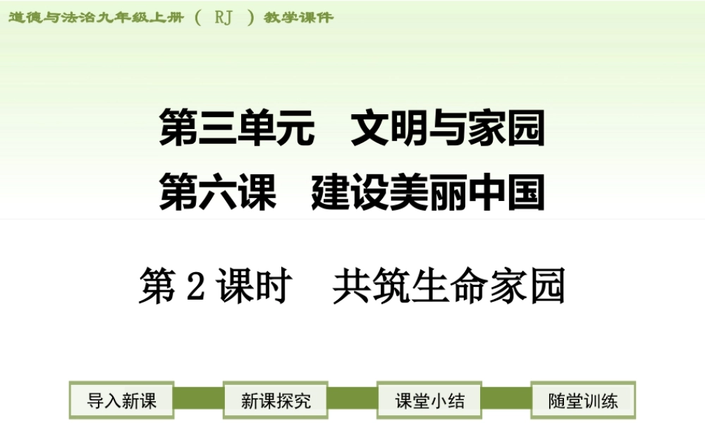 初中道德与法治九年级上册课件-第2课时 共筑生命家园.ppt
