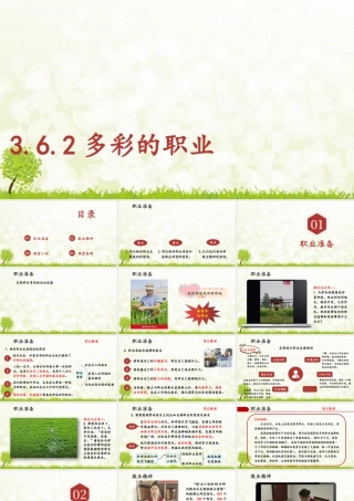 初中道法九年级下课件-3.6.2 多彩的职业.pptx