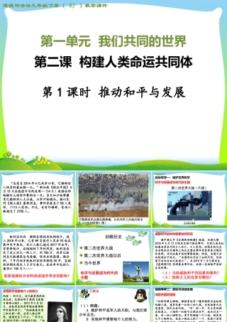 初中道法九年级下课件-第1课时 推动和平与发展.ppt