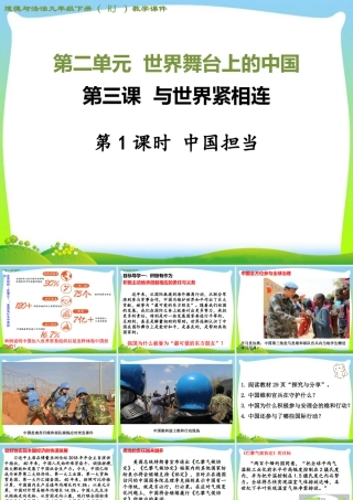 初中道法九年级下课件-第1课时 中国担当 (2).ppt