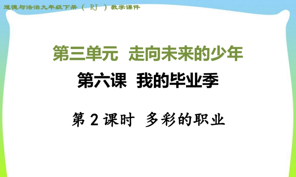初中道法九年级下课件-第2课时 多彩的职业.ppt