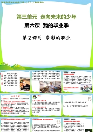 初中道法九年级下课件-第2课时 多彩的职业.ppt