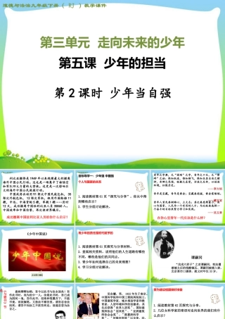 初中道法九年级下课件-第2课时 少年当自强.ppt