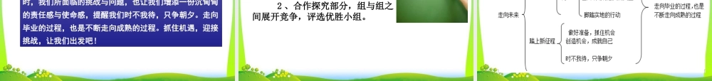 初中道法九年级下课件-第3单元第7课第2课时  走向未来.ppt