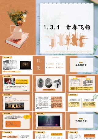 初中道法七年级下册课件-1.3.1 青春飞扬.pptx