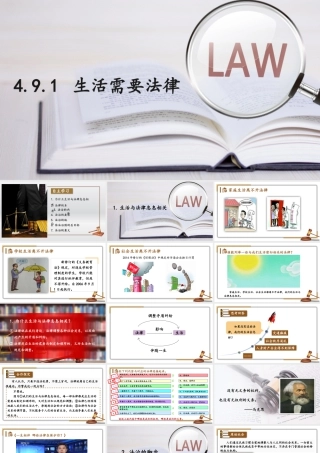 初中道法七年级下册课件-4.9.1 生活需要法律.pptx