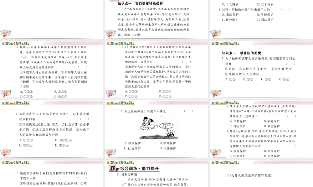 初中道法七年级下册课件-第1课时 法律为我们护航.ppt